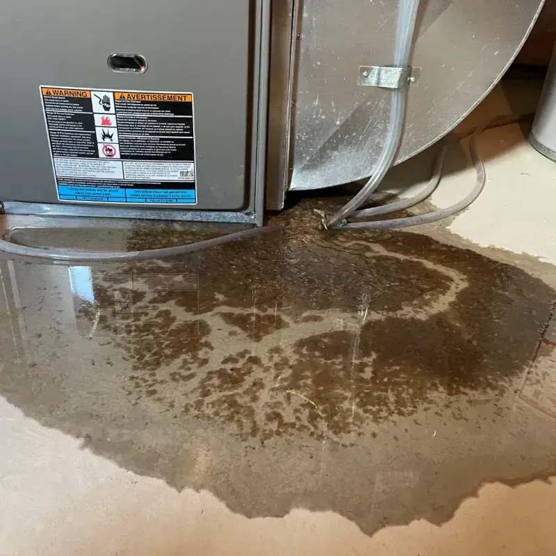 Appliance Leak Cleanup in Columbia City, IN